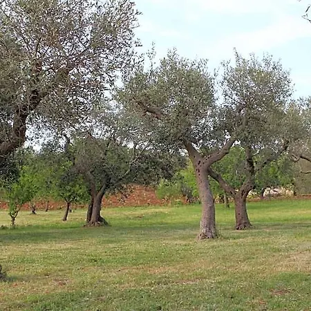 Antiche Dimore Terrarossa Hotel 4*